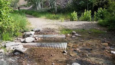 Caribou National Forest Plans To Start Mountain Bike Patrolling