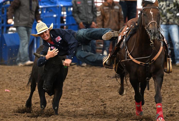 steer wrestling#1_1587.jpeg