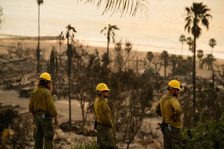 California Governor-Wildfire Liability