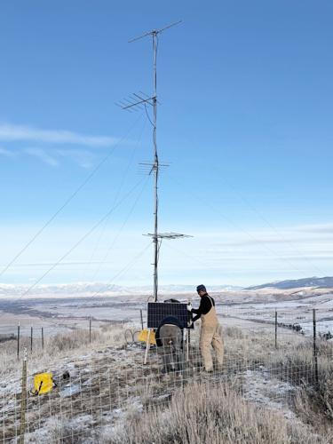 Flying D Ranch Motus Tower