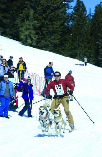 Skijoring race