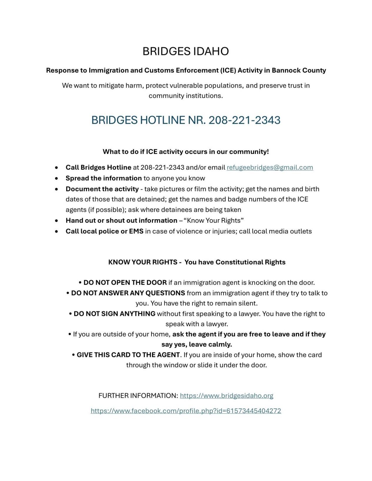 Bridges ICE Flyer
