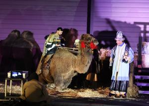 Grace Lutheran's live nativity returns Friday
