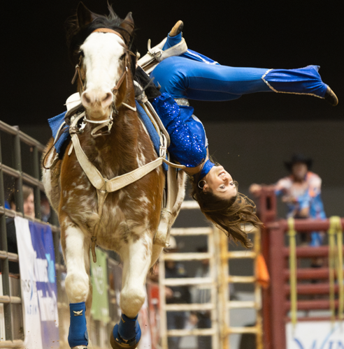 horse.png