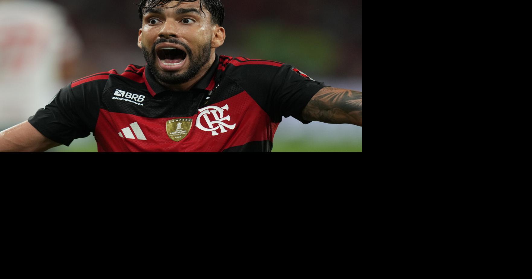 Brazil Argentina Copa Libertadores Soccer | National ...