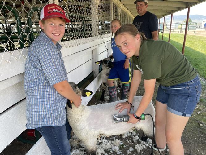 4-H youth showcase results of hard work at Bannock County Fair