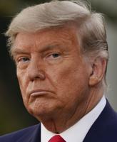 Groups blast Trump logging plan aimed at reducing wildfires