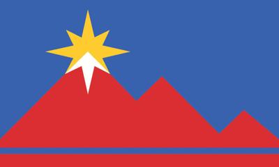 City Flag NEW