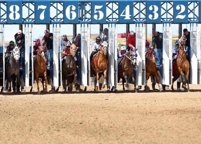 PHOTO GALLERY Horse racing at Pocatello Downs Freeaccess