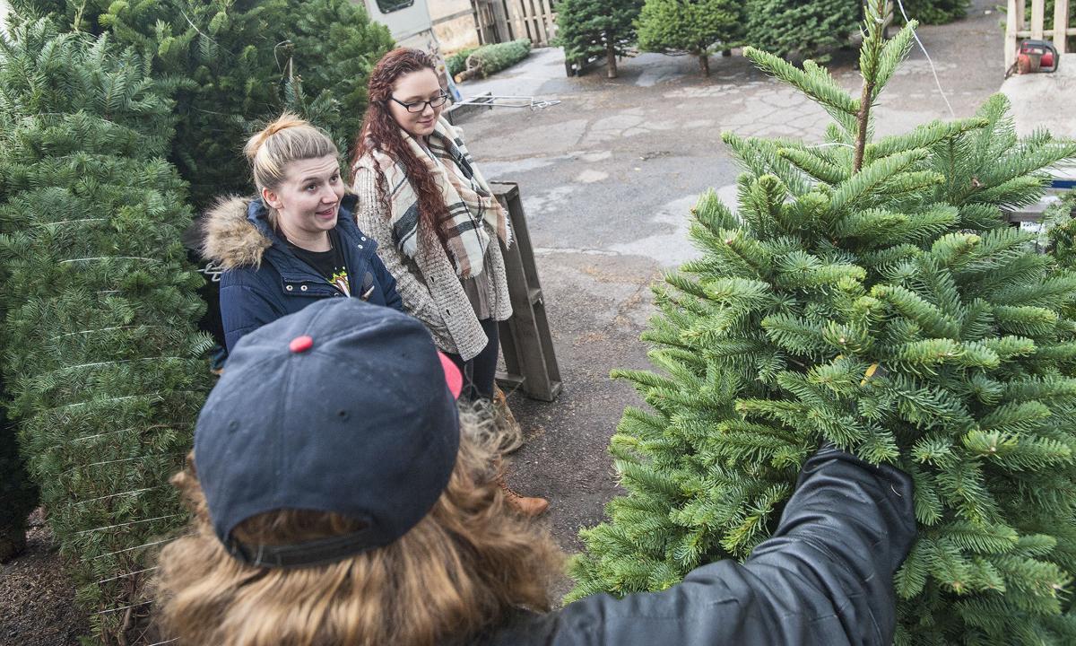 local sellers adapt to market changes for real christmas christmas tree lots utah