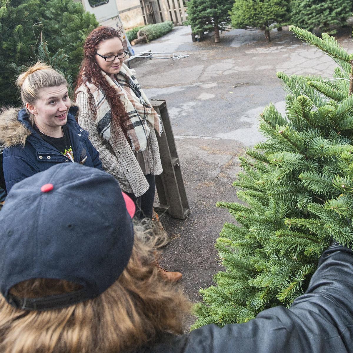 market changes for real Christmas trees