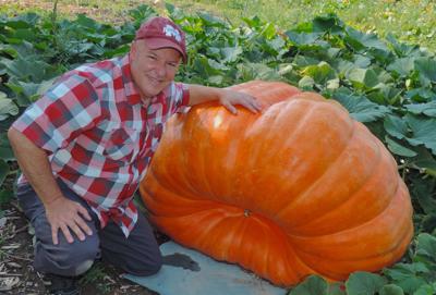 Pocatello man grows giant pumpkins