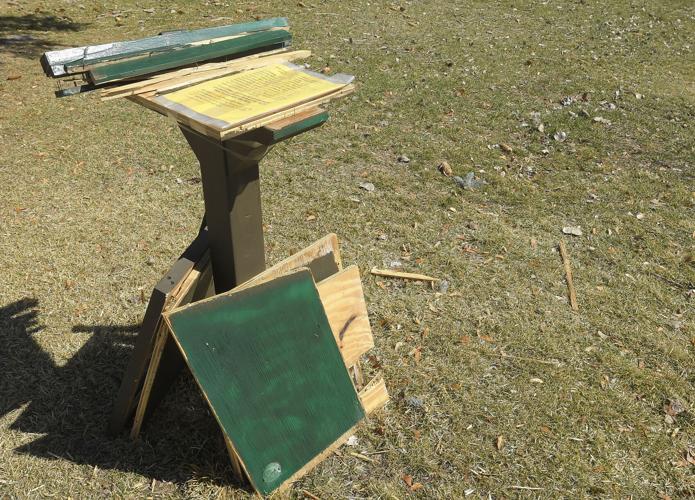 little library horizontal