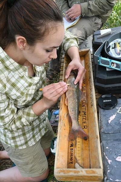 Fish Research