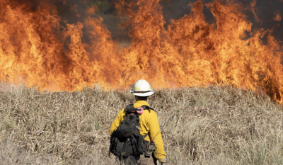 Wildfire brush fire stock image file photo
