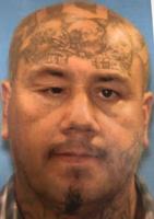 Fugitive gang member arrested in Pocatello neighborhood after vehicular chase, foot pursuit