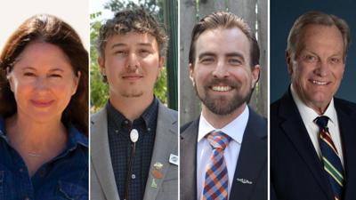 District 2 congressional race candidates