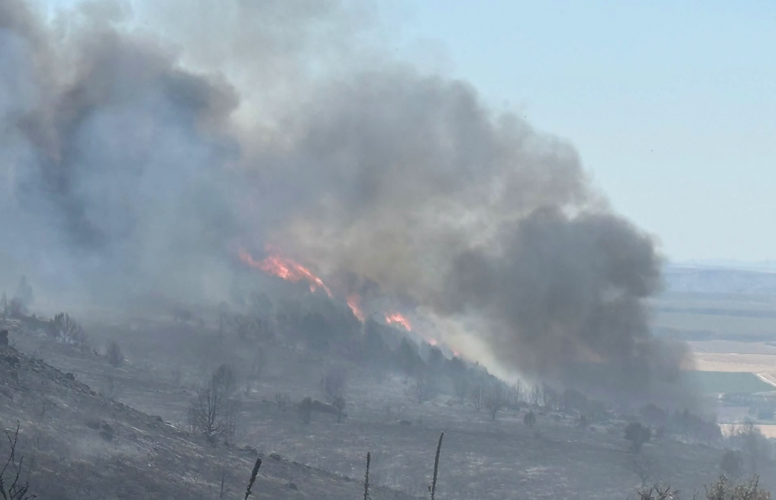 Wildfire