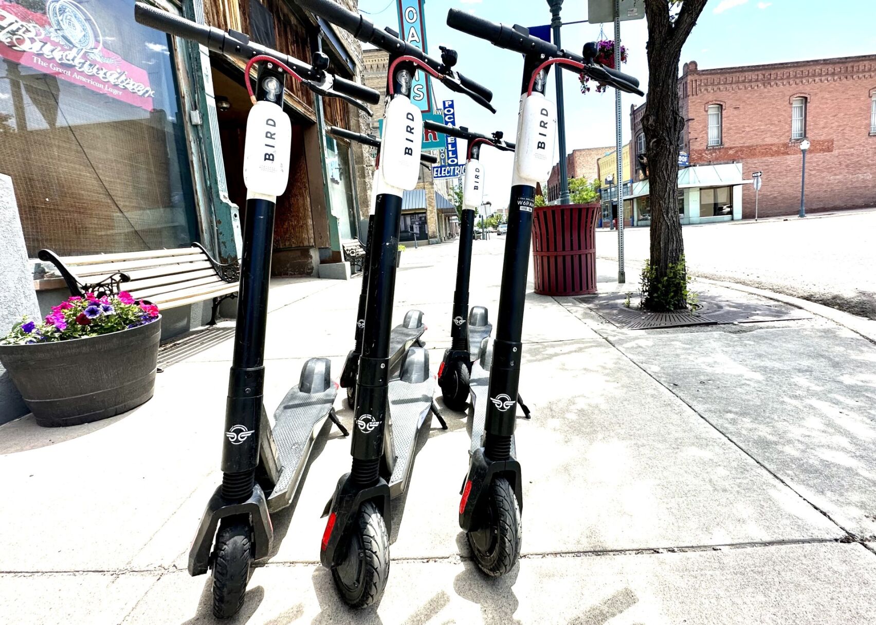 Bird e-scooters