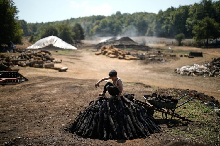 Father and sons keep a traditional charcoal craft alive, in photos