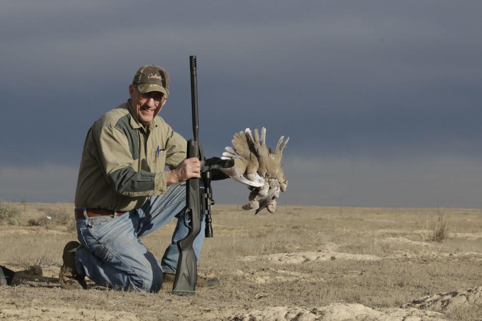 Dove hunting is here — almost Xtreme Idaho