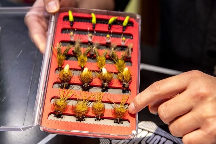 Carp flies