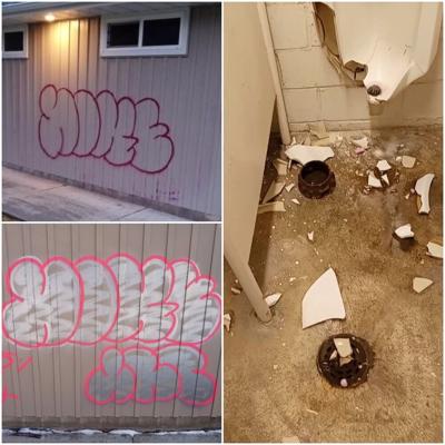 Ross park vandalism