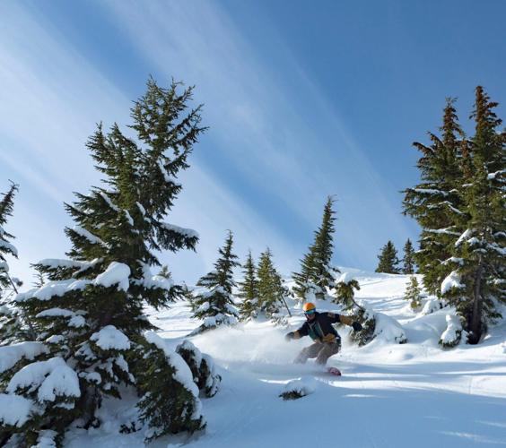 Silver-snowboarder-powder.JPG