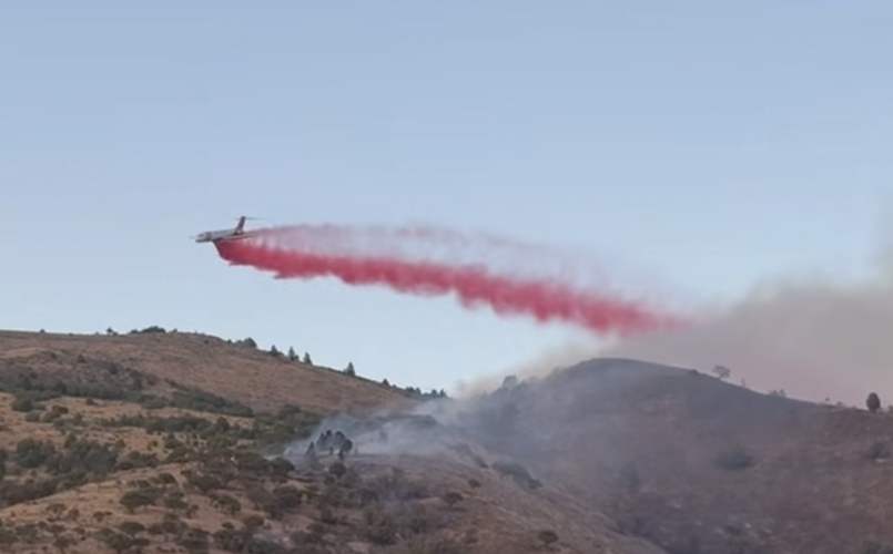 Wildfire