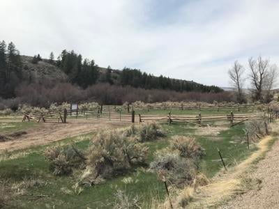 East Fork of Rock Creek (copy)