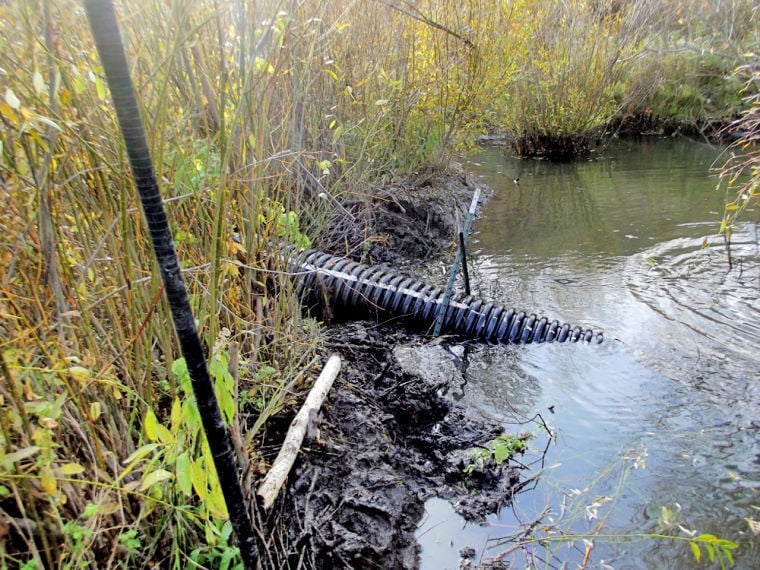 Pond leveler: Ecologically friendly device seeks to control flooding