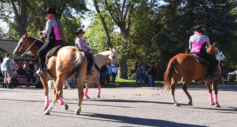 horse team weaving.png