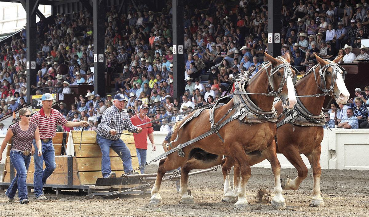 Eastern Idaho State Fair kicks off Friday Local