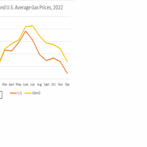 Idaho gas prices fall to ring in the new year while US average climbs ...