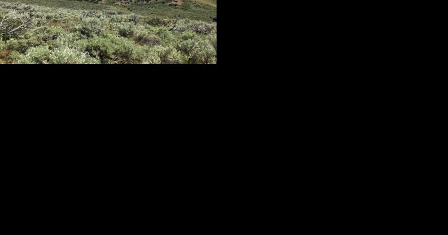 BLM seeking public comment on environmental assessment of proposed Bingham County limestone mine - Vimarsana News