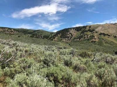 Proposed Limestone mine in Bingham County