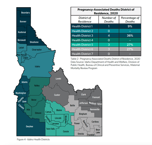 Idaho pregnancy-related deaths