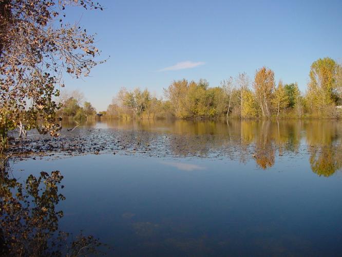spring pond duff_lane_pond_04.jpg