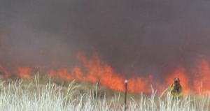 Firefighters respond to lightning-caused wildfires in Southeast Idaho