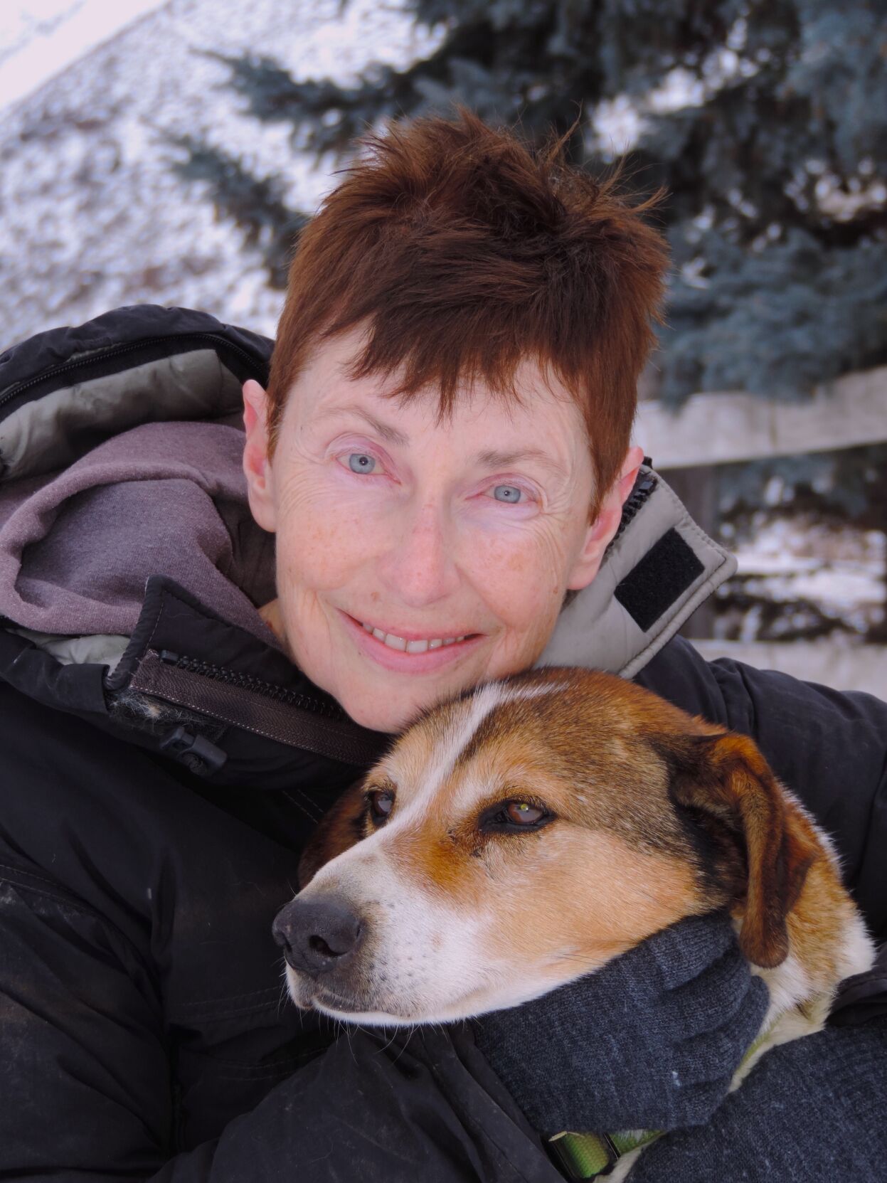 Dog sled 1