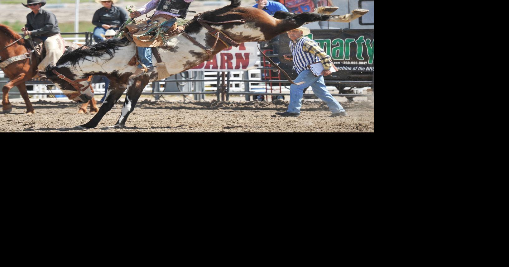 High school rodeo gets official stamp of approval to be held in ...