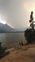 Central Idaho whitebark pine: High, dry and burned