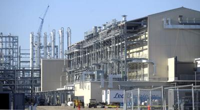 Hoku plant