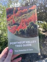City of Pocatello releases updated Portneuf Valley Tree Guide