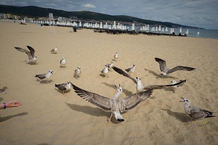 APTOPIX Bulgaria Daily Life