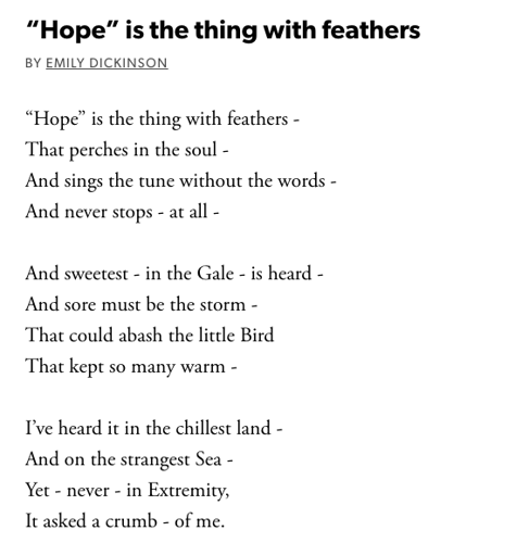 Hope is a thing with feathers