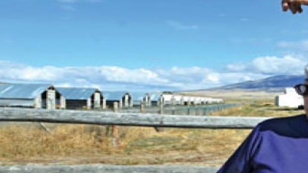Malad Couple Says Mink Farm Has Them On The Verge Of Losing Home Members Idahostatejournal Com