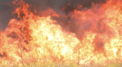 Wildfire brush fire stock image file photo