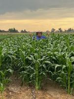 Local farmer Richard Johnson growing more than crops