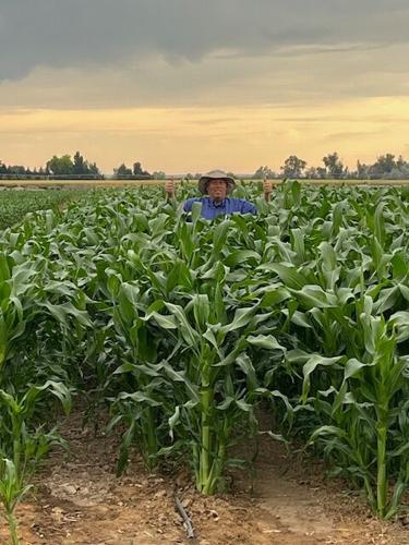 Richard Johnson in his field of corn